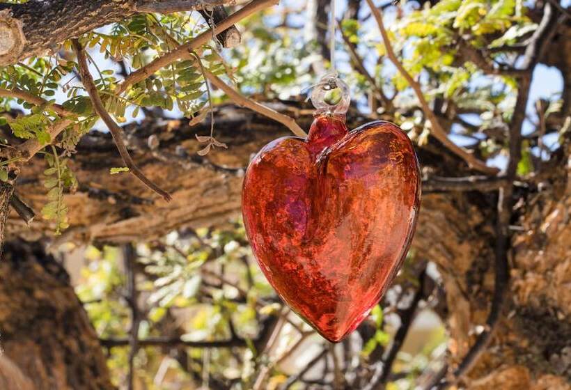 Отель Pueblo Bonito Pacifica Golf & Spa Resort   All Inclusive   Adults Only