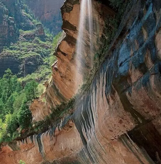 ホテル Zion Lodge   Inside The Park