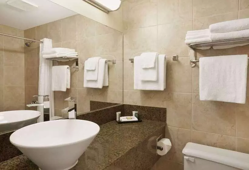 汽车旅馆 Super 8 By Wyndham Edmonton International Airport