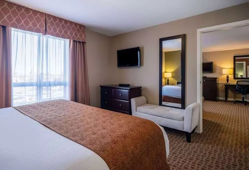 汽车旅馆 Super 8 By Wyndham Edmonton International Airport