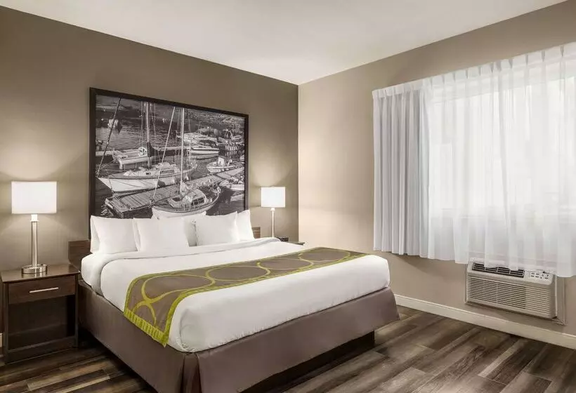 모텔 Super 8 By Wyndham Sarnia On