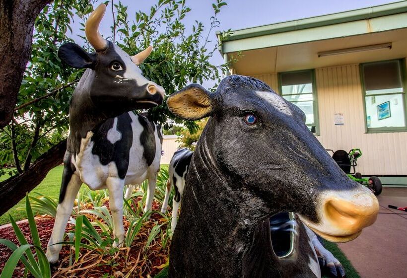 Отель Big4 Shepparton Park Lane Holiday Park