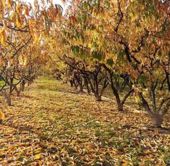 Aamiaismajoitus (B&B) Aux Pieds Des Vignes