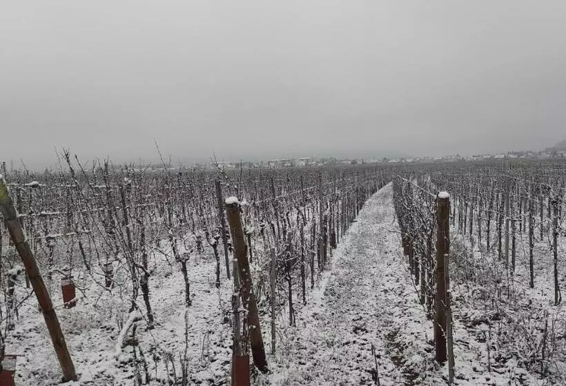 Aamiaismajoitus (B&B) Aux Pieds Des Vignes