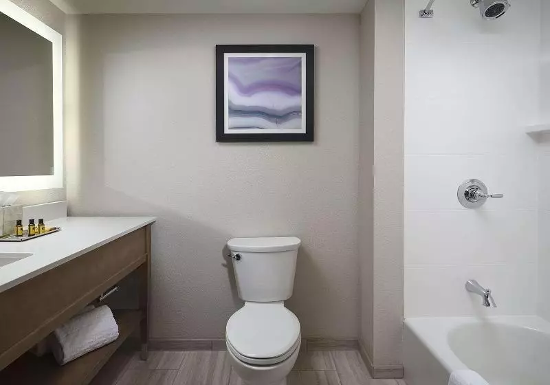 ホテル Best Western Plus Desoto