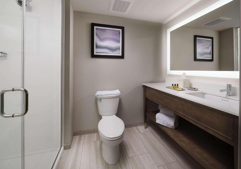 ホテル Best Western Plus Desoto