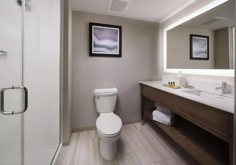 ホテル Best Western Plus Desoto