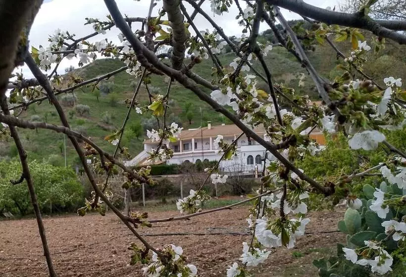 Majatalo Alojamiento Ardales