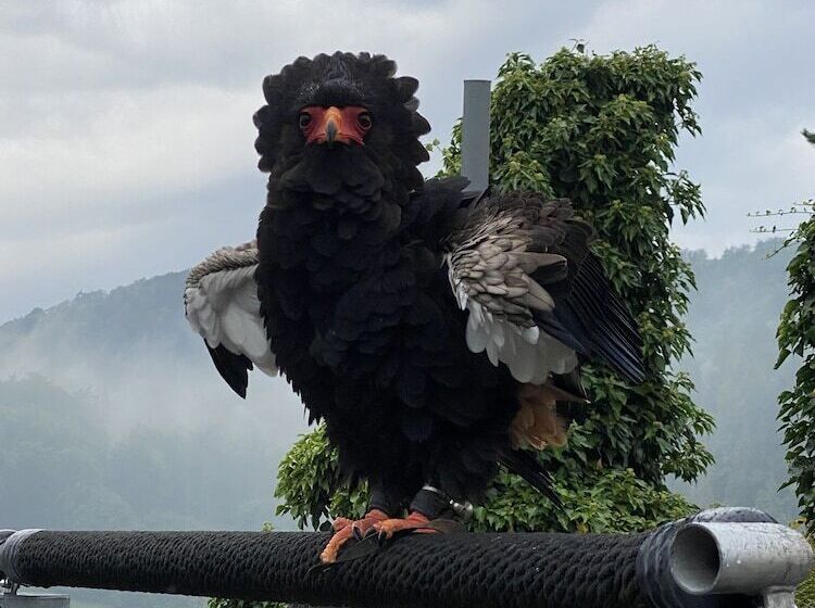 膳宿费 Gästehaus Am Kurpark