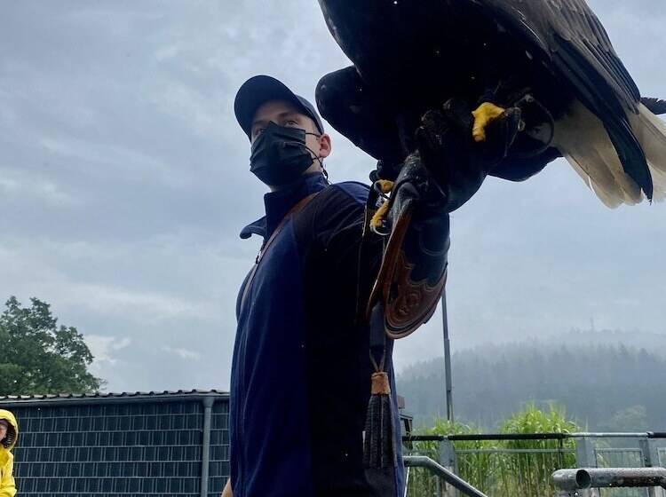 膳宿费 Gästehaus Am Kurpark