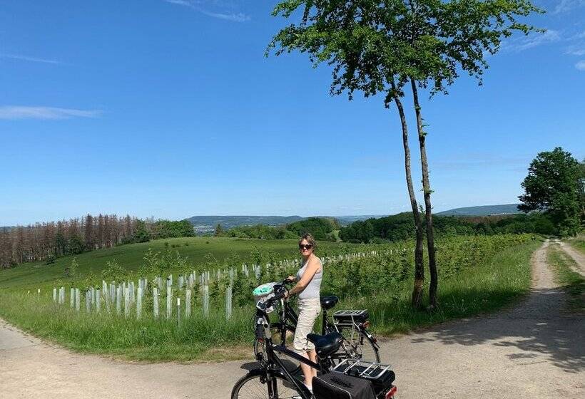 膳宿费 Gästehaus Am Kurpark