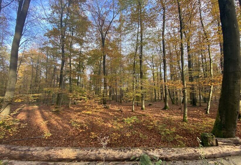 膳宿费 Gästehaus Am Kurpark