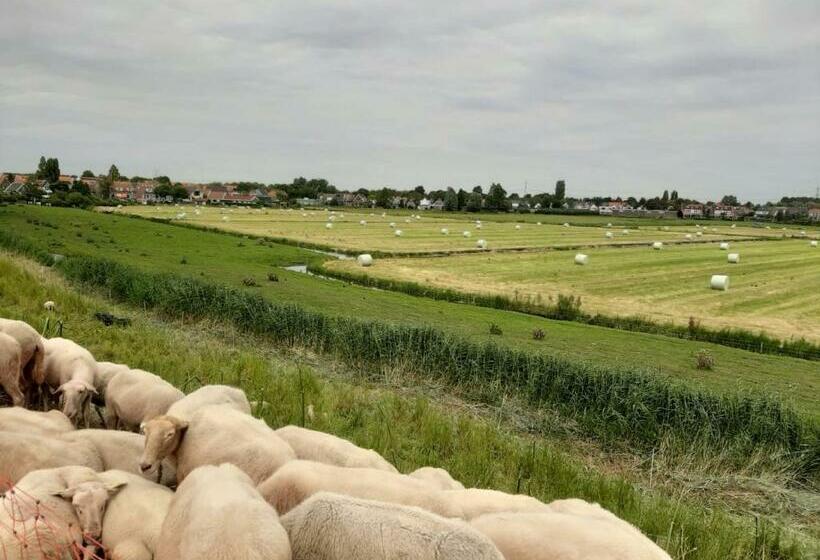 B & B Tulp Amsterdam Noord