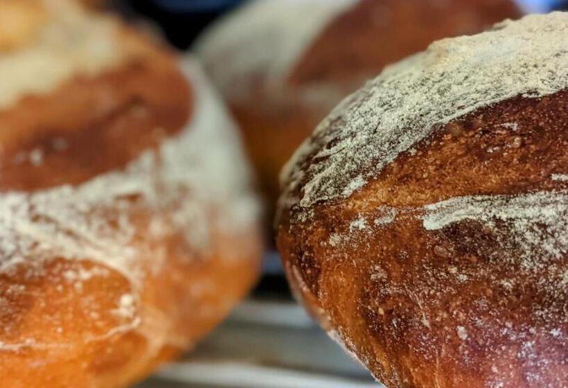 민박 The Bear Bread Bakery, Boutique En Suite Rooms With Breakfast In The Bakery, In The Heart Of Colyton