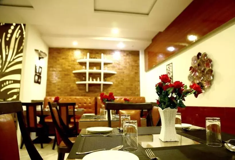 Hotelli Tavisha Kanatal Hills Chamba