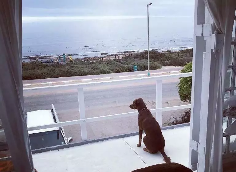 ペンション Port Nolloth Beach Shack
