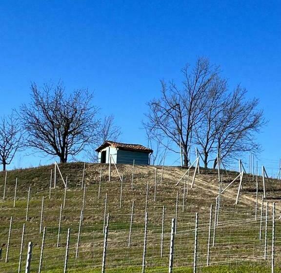 膳宿费 La Vite è Bella