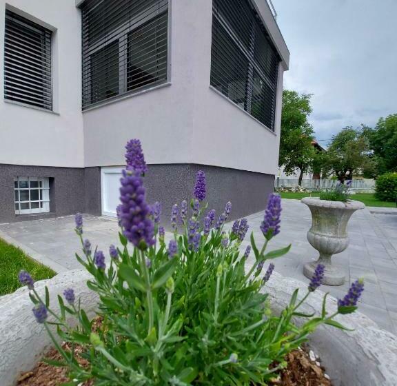 تختخواب و صبحانه Vila Eva Lesce Bled