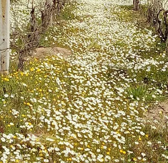 Bed & Breakfast Paui