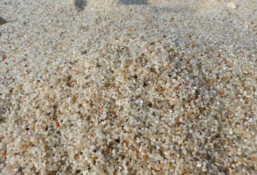 Bed & Breakfast Paui