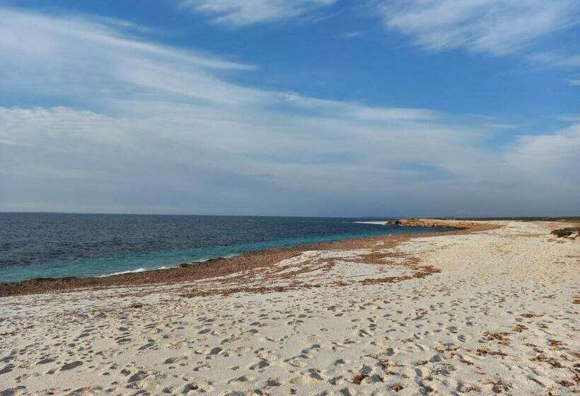 Bed & Breakfast Paui