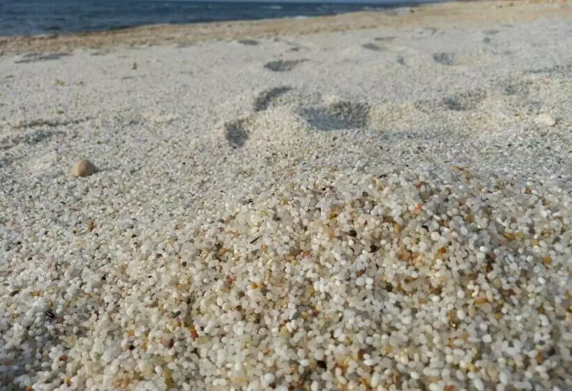 Bed & Breakfast Paui