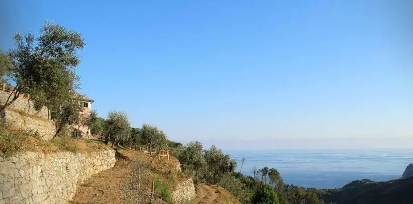 ホテル Agriturismo Missanega