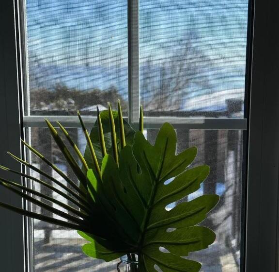 酒店 Hôtel Le Rustique