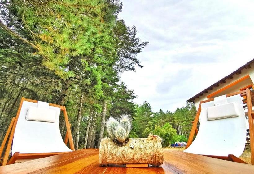 ホテル Vallicciola Nature