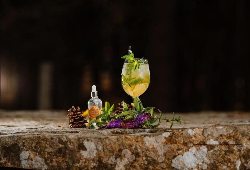 ホテル Vallicciola Nature