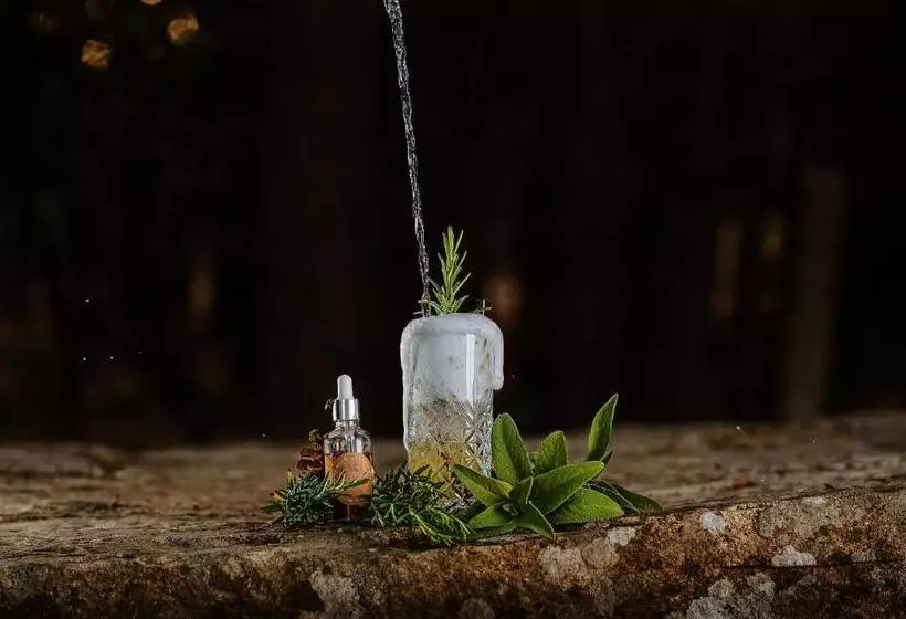 ホテル Vallicciola Nature