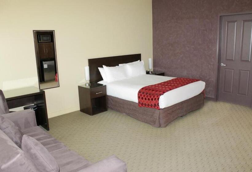 בית מלון כפרי Comfort Inn & Suites City Views