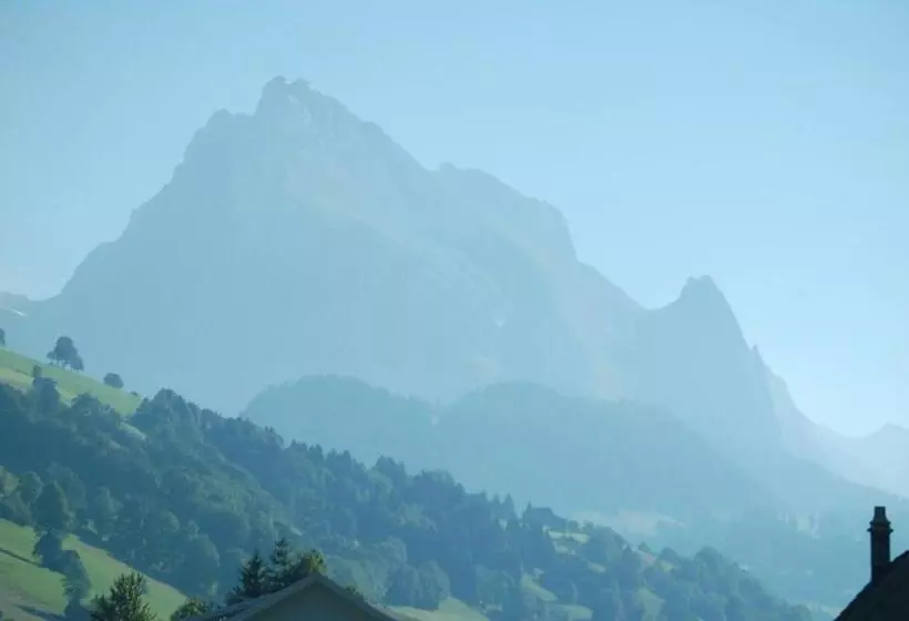 ホテル Gasthaus Schäfli