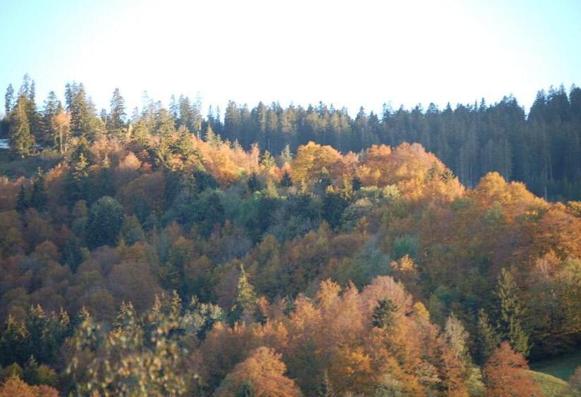 호텔 Gasthaus Schäfli