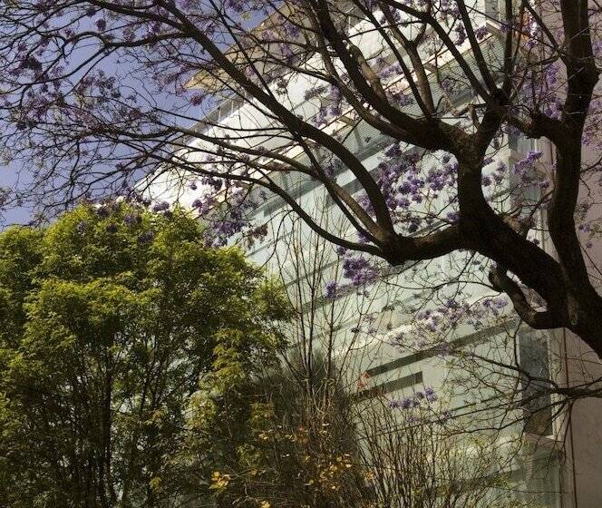 Habita, Mexico City, A Member Of Design Hotels