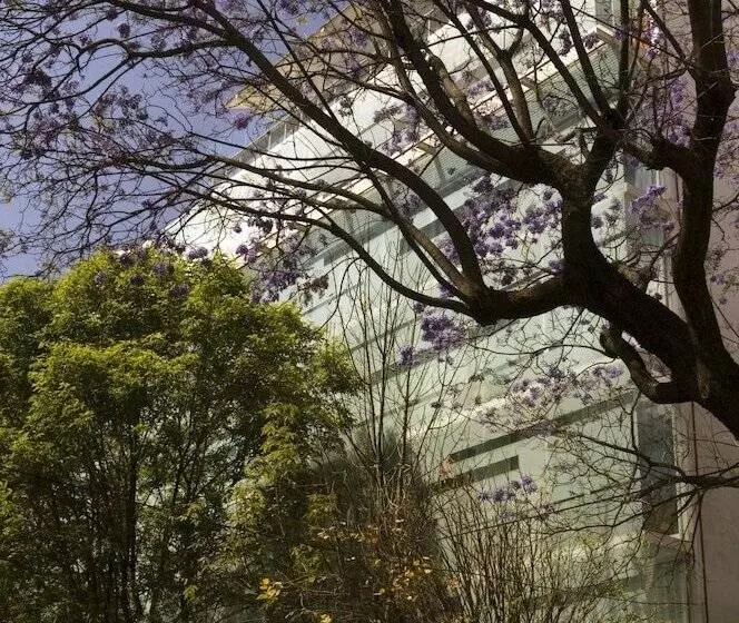 Habita, Mexico City, A Member Of Design Hotels