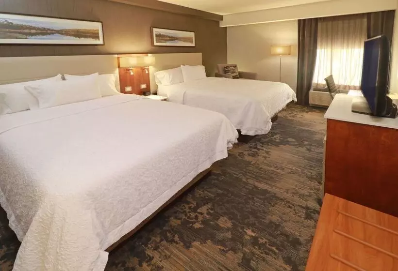 هتل Hampton By Hilton Chihuahua