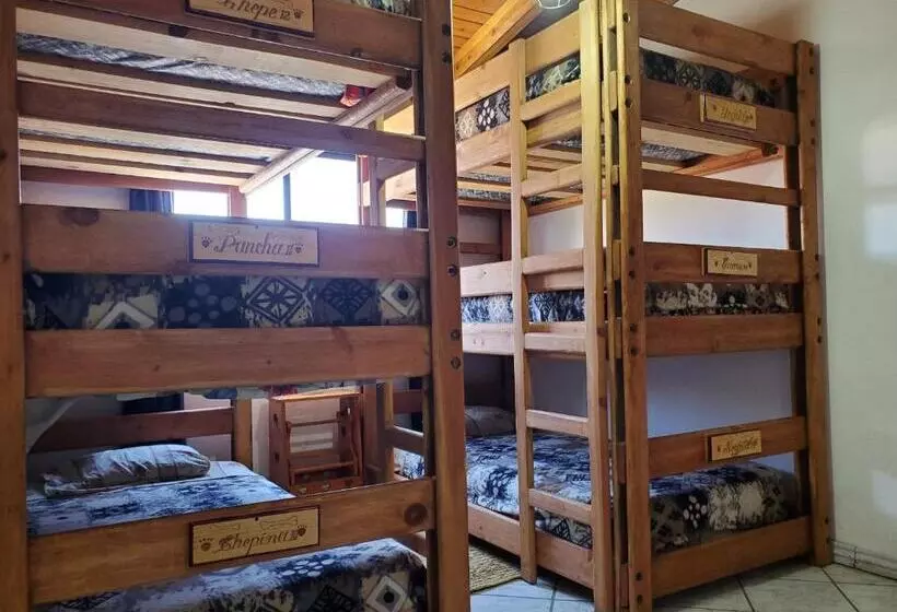 فندق Hostal Pata De Perro