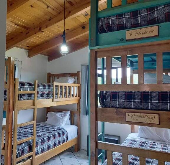 فندق Hostal Pata De Perro