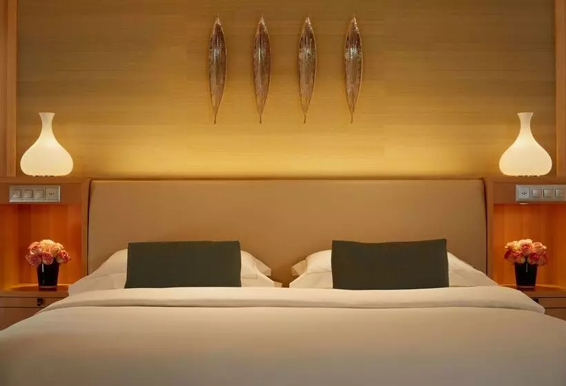 Hotel Park Hyatt Zurich – City Center Luxury