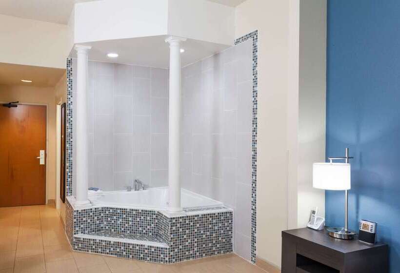 Hotel Wingate By Wyndham Schaumburg