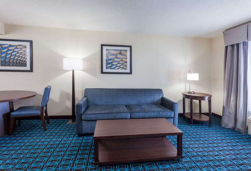 Hotel Wingate By Wyndham Schaumburg
