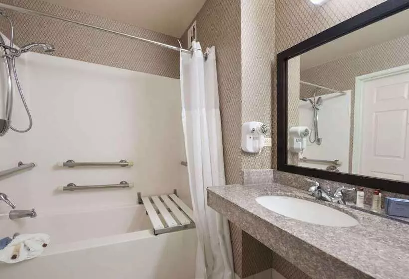 בית מלון כפרי Wingate By Wyndham Schaumburg