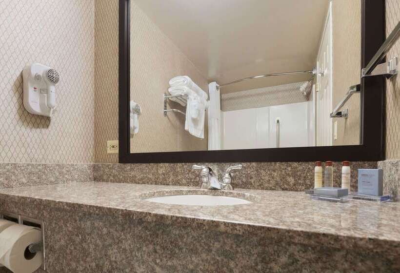 Hotel Wingate By Wyndham Schaumburg