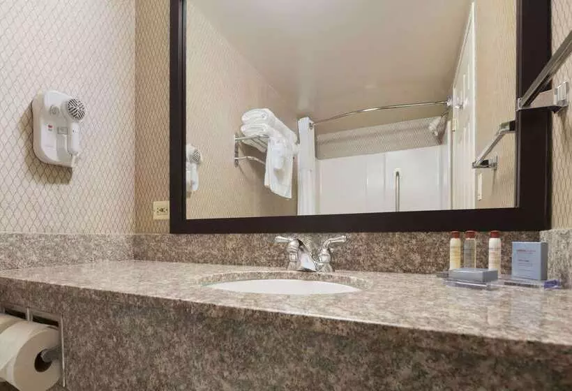 בית מלון כפרי Wingate By Wyndham Schaumburg