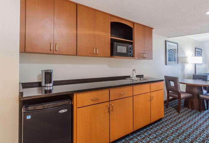 Hotel Wingate By Wyndham Schaumburg