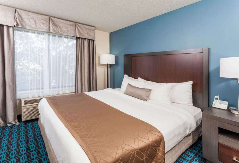 Hotel Wingate By Wyndham Schaumburg