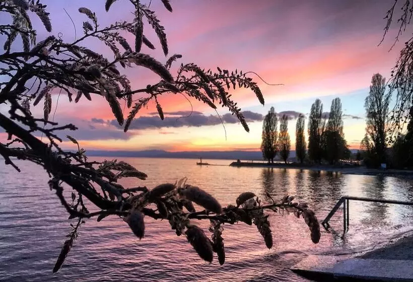 Rivage Hotel Restaurant Lutry