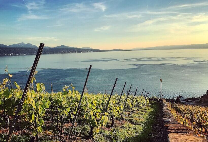 Rivage Hotel Restaurant Lutry