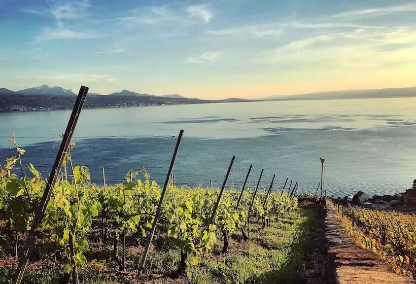 Rivage Hotel Restaurant Lutry